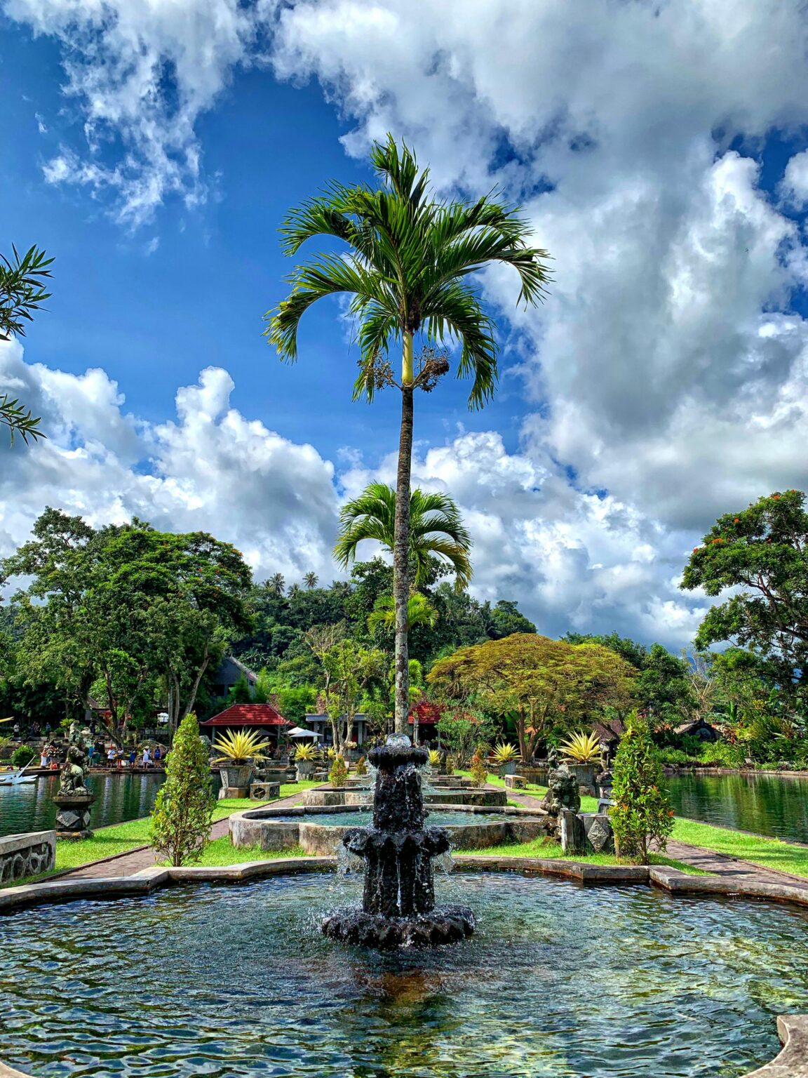 Thomas Tischler Reisen Bali Park