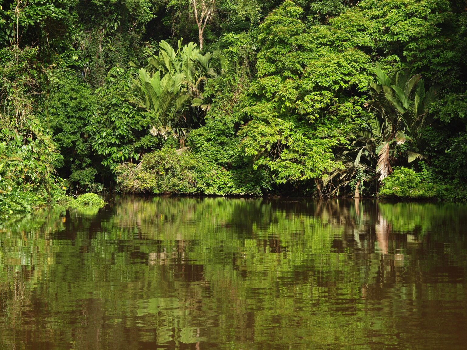 Thomas Tischler Reisen Costa Rica tortuguero national park