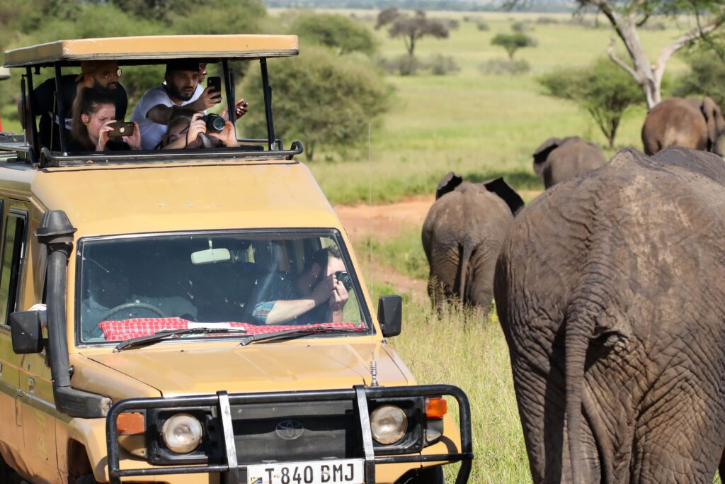 Thomas Tischler Reisen Gruppenreise Safari