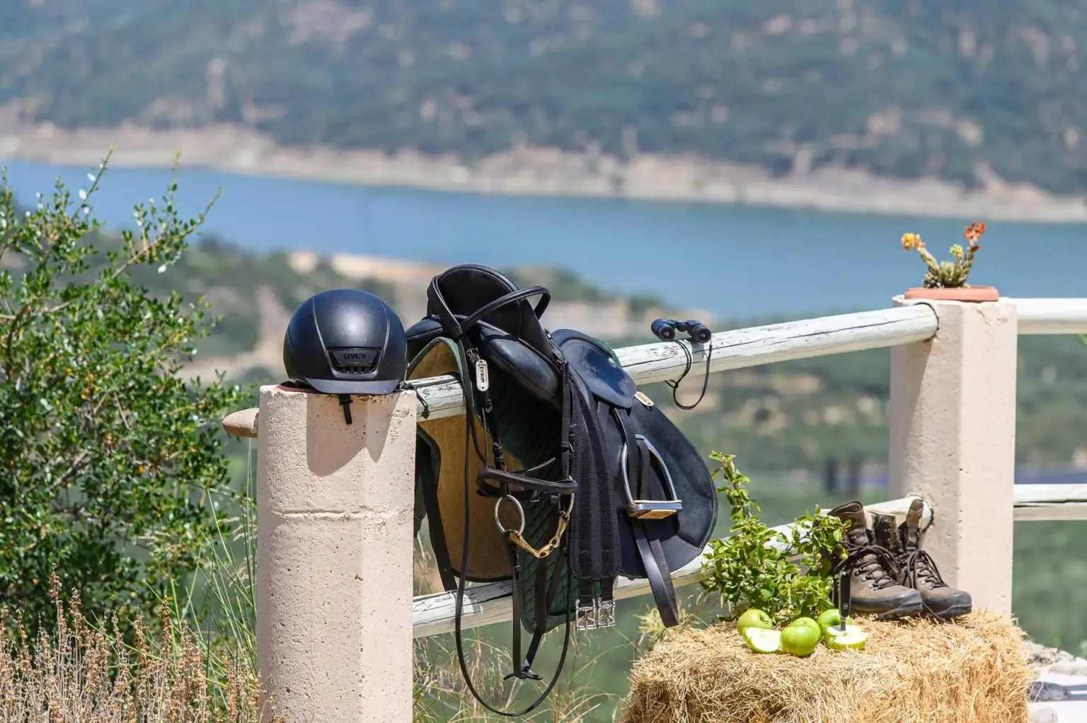 Thomas Tischler Reisen Kreta VelaniCountryHouse 3