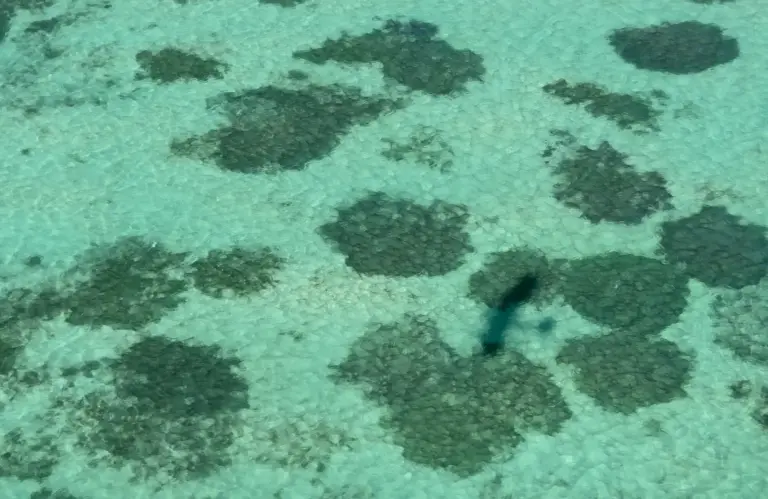 Thomas Tischler Reisen Mauritius Wasser