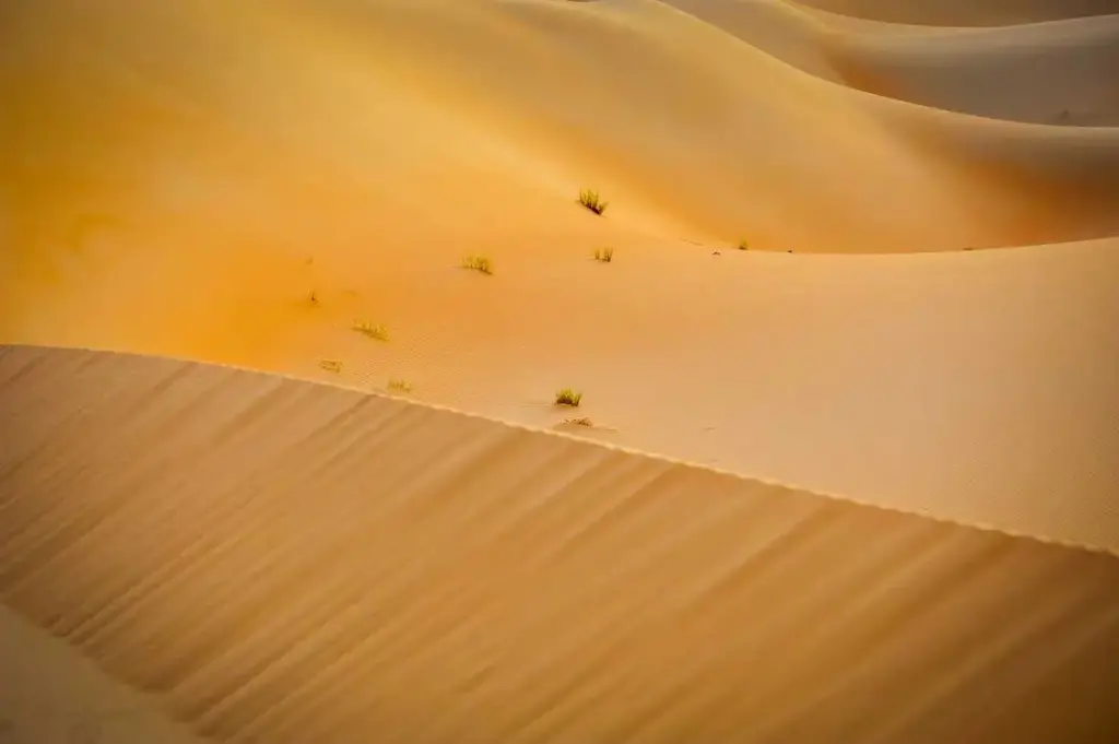 Thomas Tischler Reisen Oman Wueste