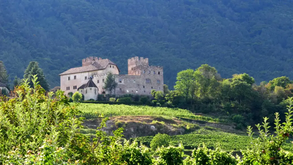 Thomas Tischler Reisen Suedtirol Burg